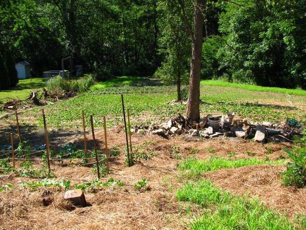 Only 2 weeks old now into week 5 those pics coming soon