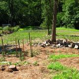 Only 2 weeks old now into week 5 those pics coming soon