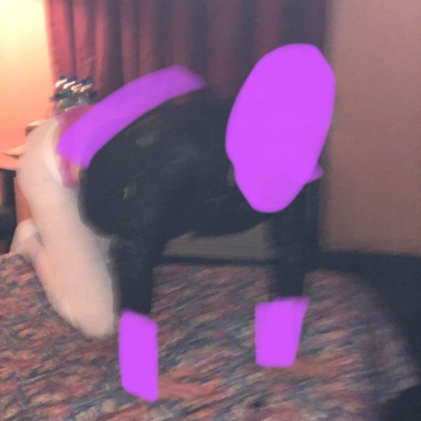 IMG_20190417_051942_296