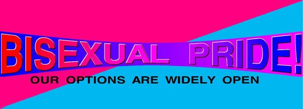 bisexual_pride_banner_by_kyuubichowderfand2yh6ej