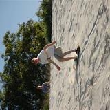 l_d2630992e3f7f10a3c738bcd5becf26b