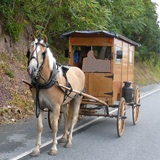 my horse and buggy