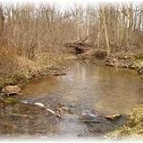 my trout stream