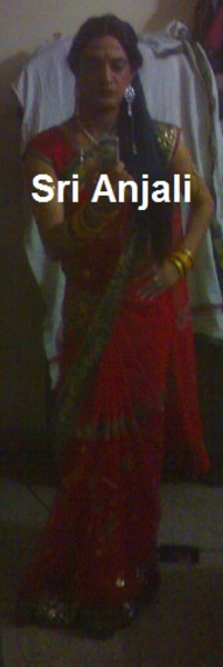 Sri Anjali in red net saree3