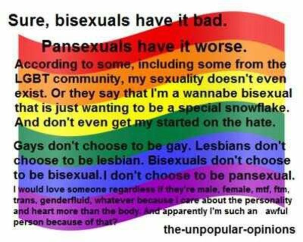 Pansexual Quote 2