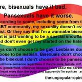 Pansexual Quote 2