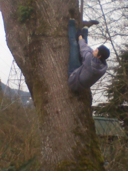 Me in a tree