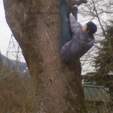 Me in a tree
