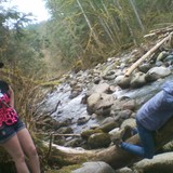 laying on a log the other way