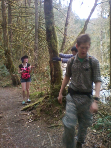 why wont this tree fall!?