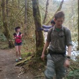 why wont this tree fall!?