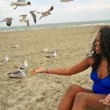 Feeding the birds!!!