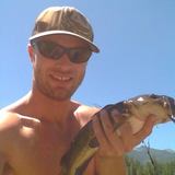 Rescuing fish from a drying pond