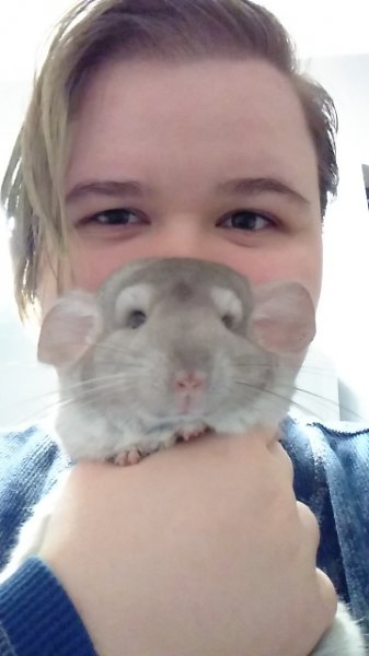 15166337984821962701334