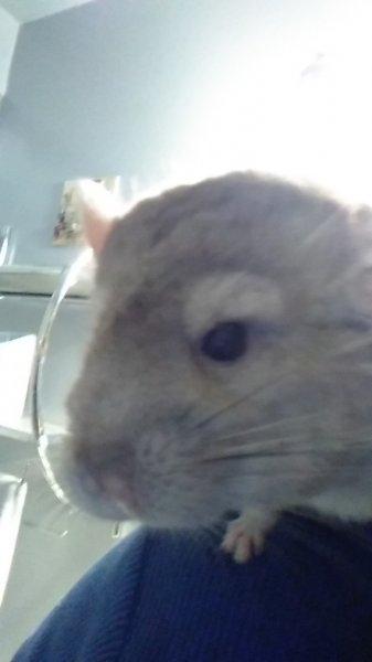 15166339335931042996749