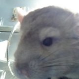 15166339335931042996749