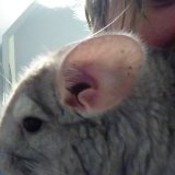 1516634188369814943038