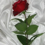 on my pillow for you