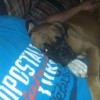 Checking things out
